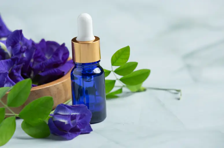 fleur-de-bach-plantes-medicinales-ma-bulle-eft