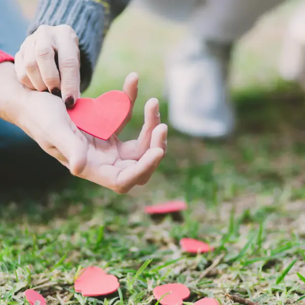 accompagement des geston des emotions